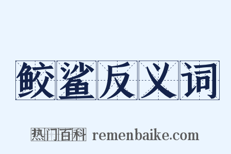 鲛鲨反义词是什么意思的图片